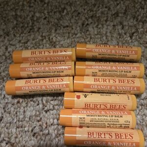 Burt's Bees Orange & Vanilla Moisturizing Lip Balm